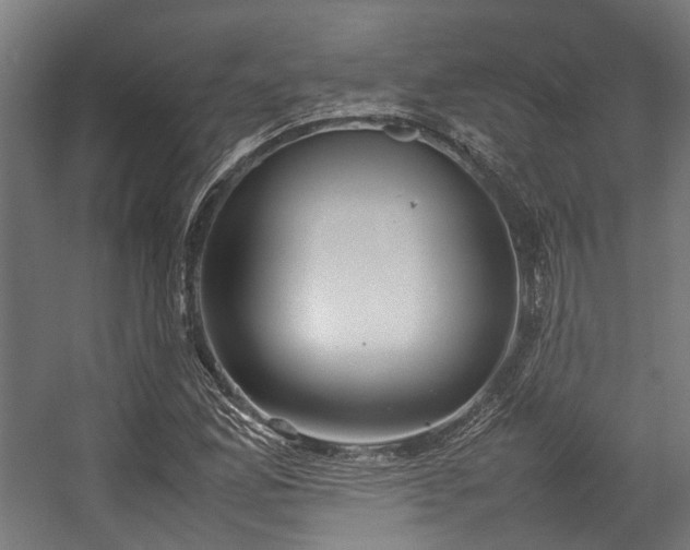 X0000057061165200509120840