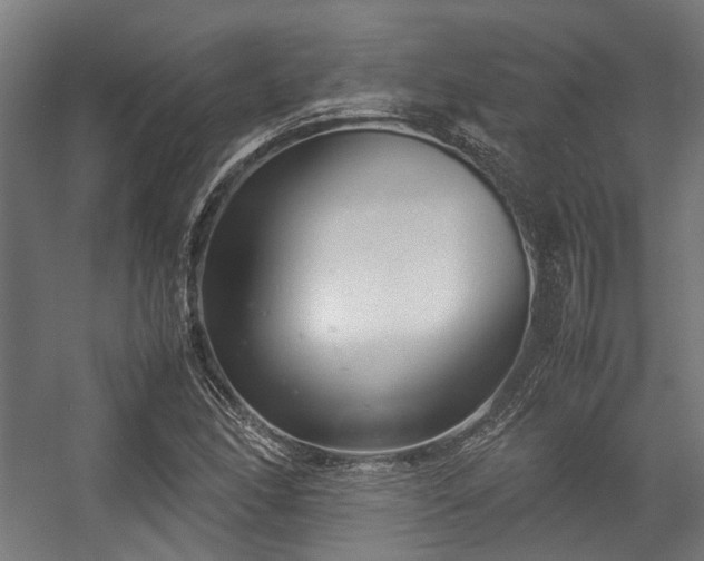 X0000057061166200509120840