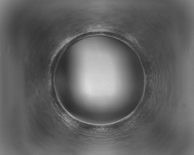 X0000057061167200509120840