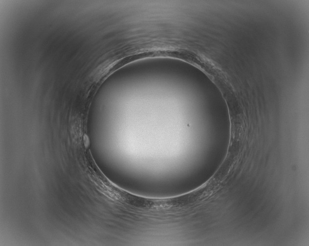 X0000057061169200509120840