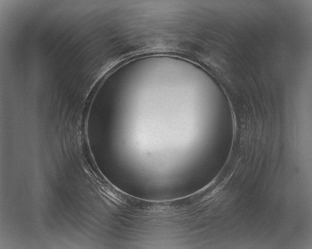 X0000057061170200509120840