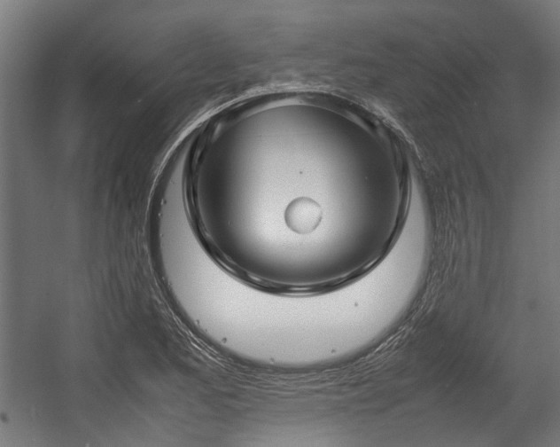 X0000057061173200509120840