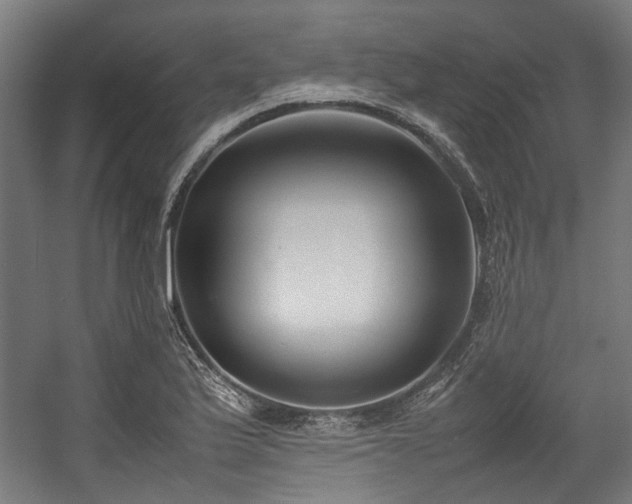 X0000057061175200509120840