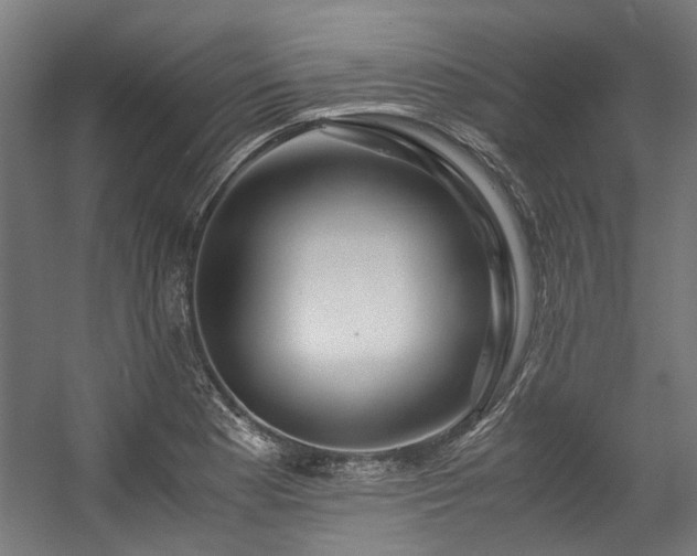 X0000057061177200509120840