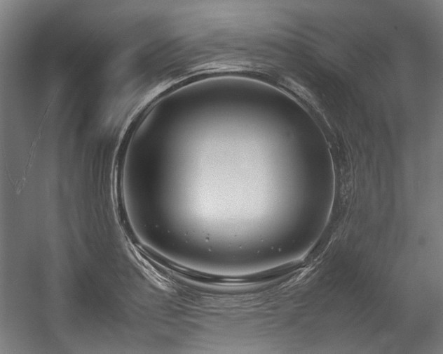 X0000057061179200509120840