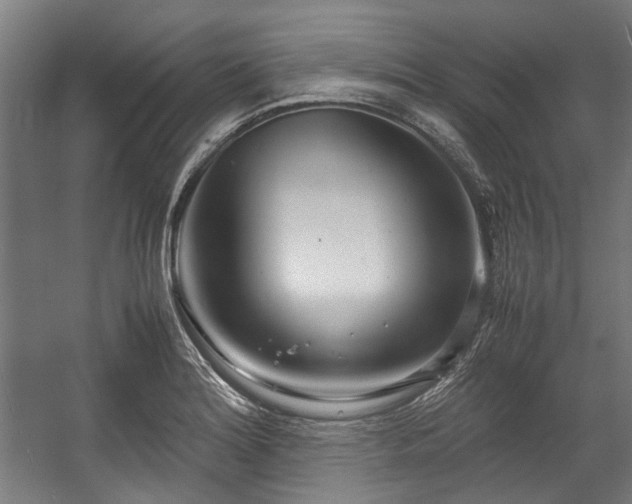 X0000057061180200509120840