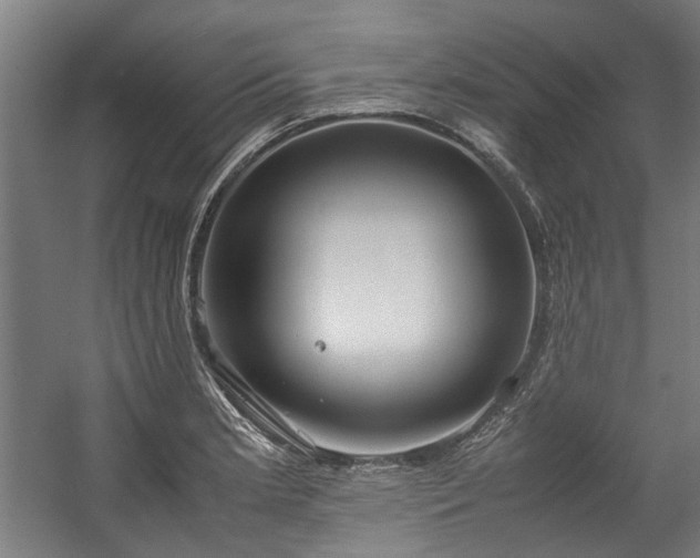 X0000057061181200509120840