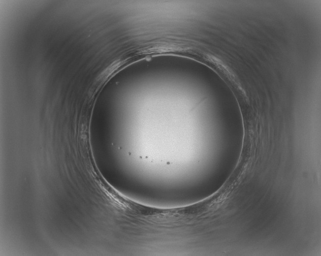 X0000057061185200509120840