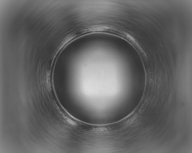 X0000057061186200509120840