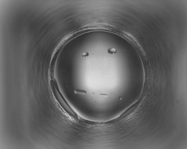 X0000057061188200509120840