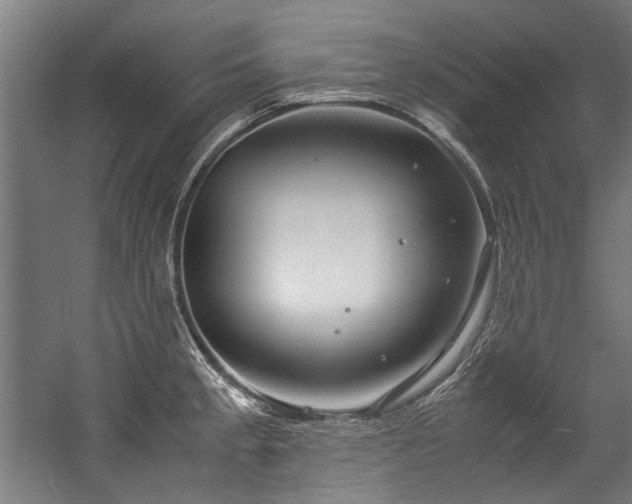 X0000057061189200509120840