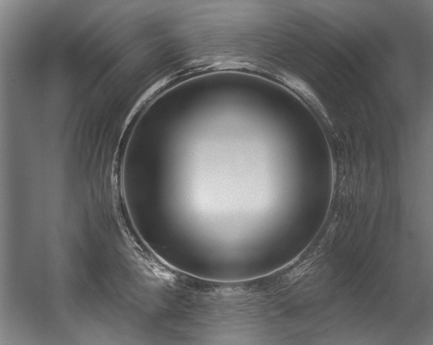 X0000057061190200509120840