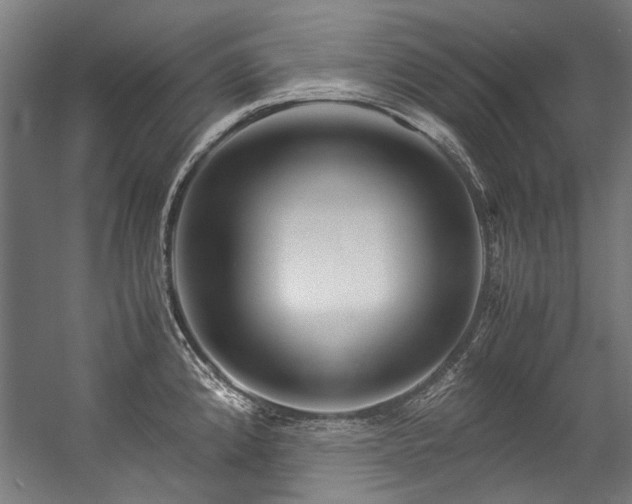 X0000057061192200509120840