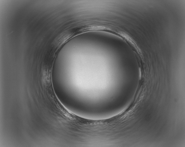 X0000057061193200509120840