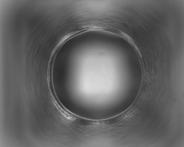 X0000057061195200509120840