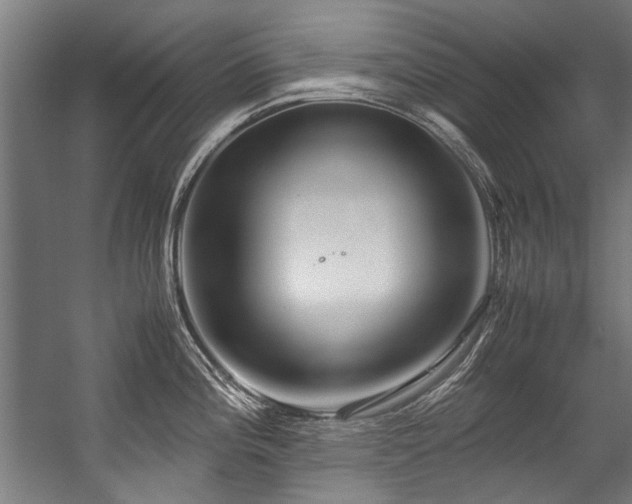 X0000057061196200509120840