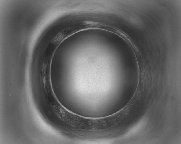 X0000057061199200509120840