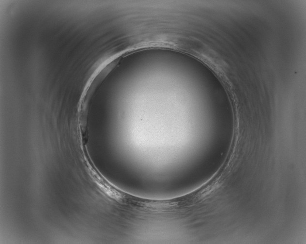 X0000057061200200509120840