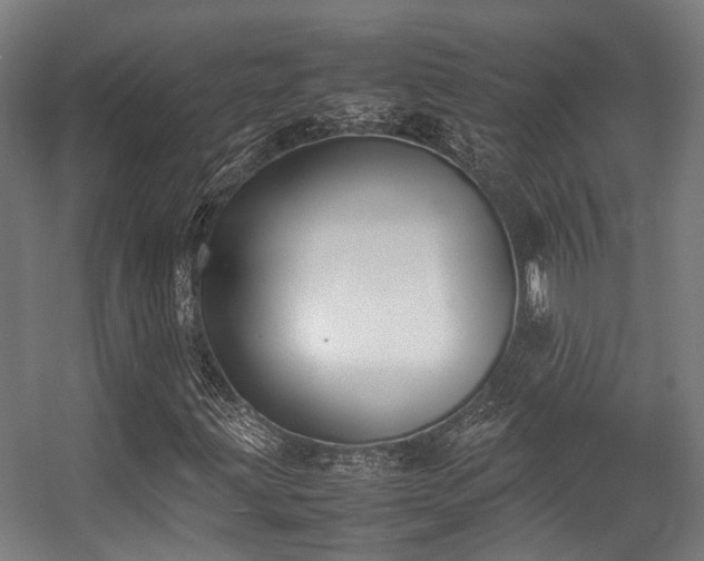 X0000057061203200509120839