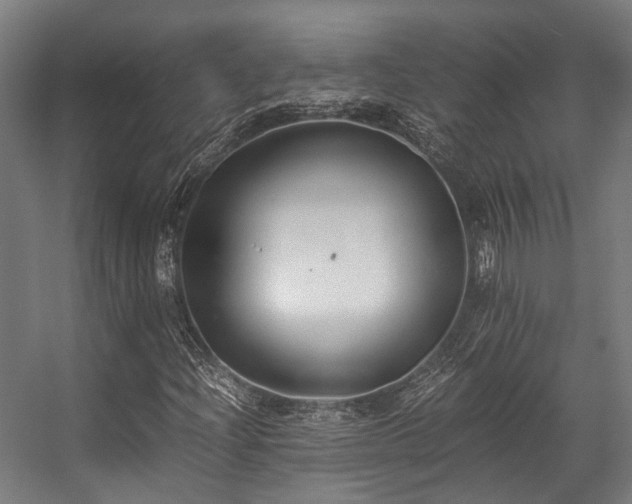 X0000057061204200509120839