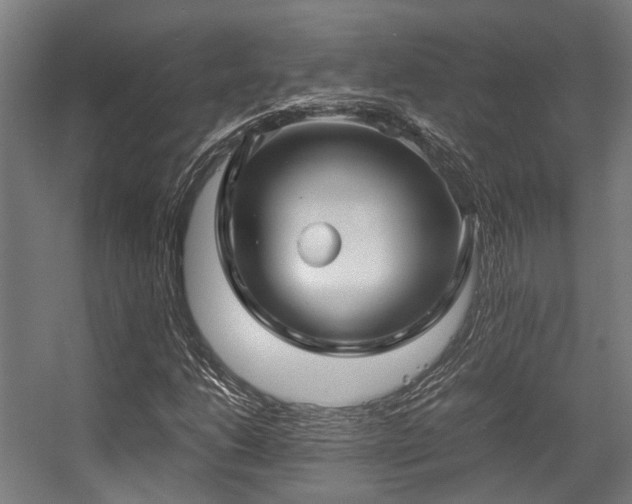 X0000057061206200509120839