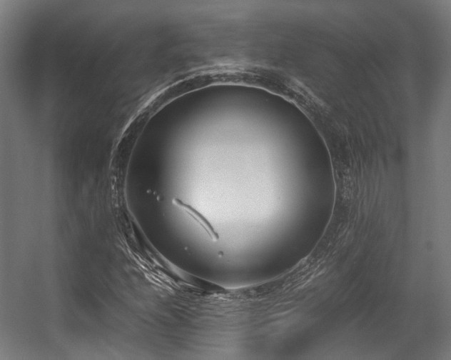 X0000057061208200509120839