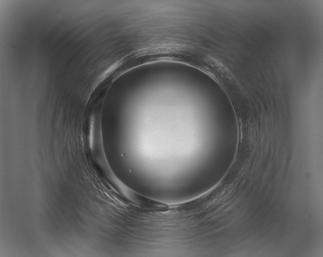 X0000057061210200509120839