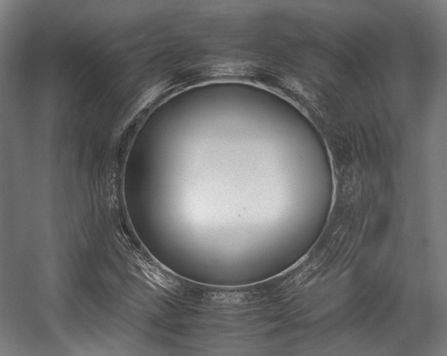 X0000057061211200509120839