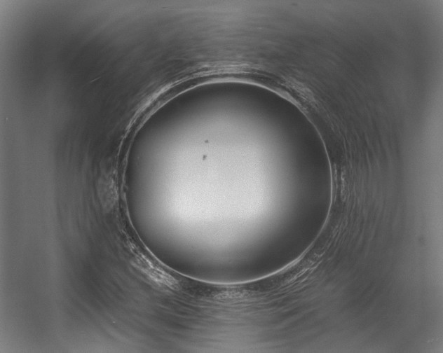 X0000057061212200509120839