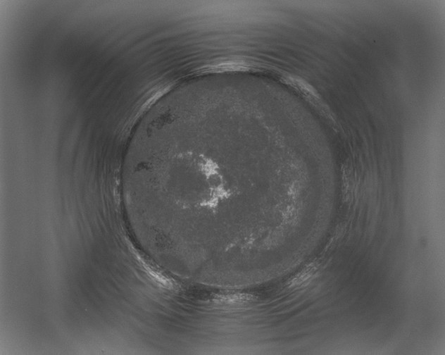 X0000057061225200509120839