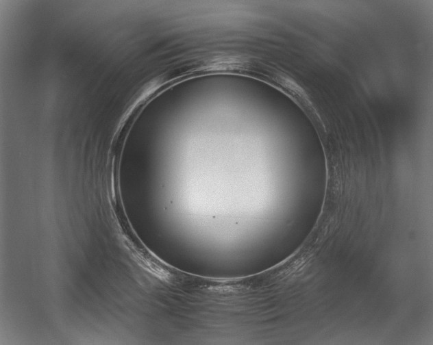 X0000057061227200509120839