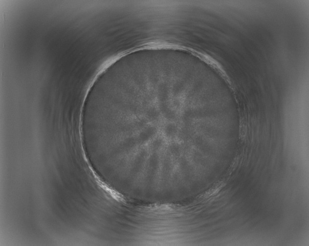 X0000057061231200509120840