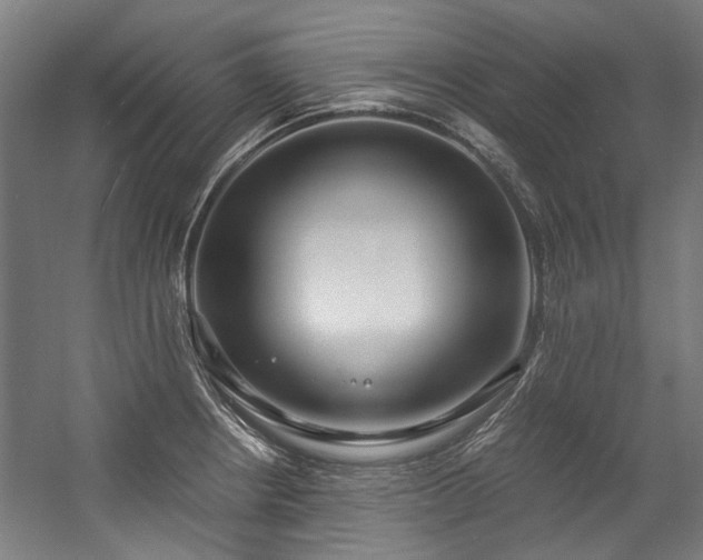 X0000057061234200509120840