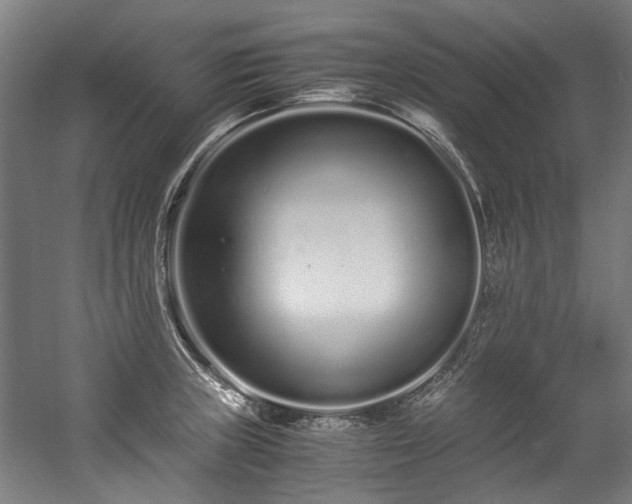 X0000057061235200509120840