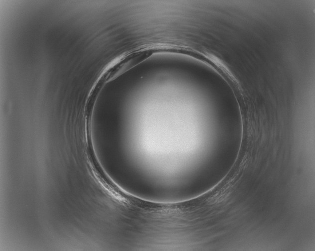 X0000057061238200509120840