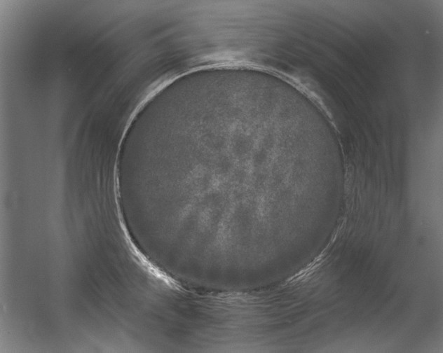 X0000057061239200509120840