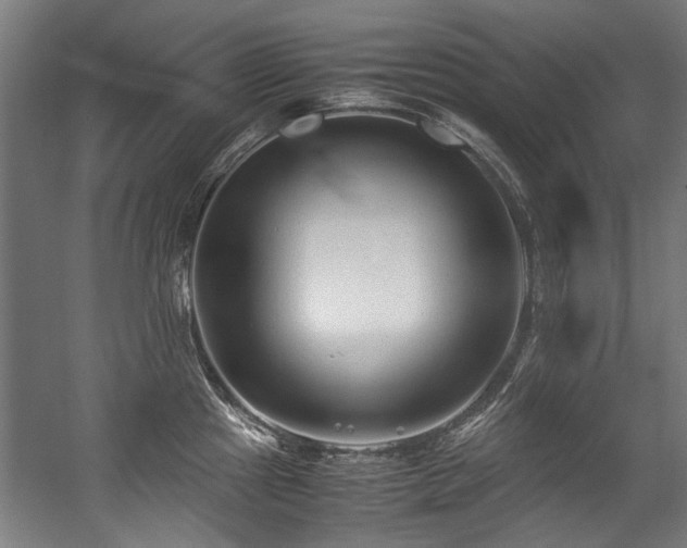 X0000057061241200509120840