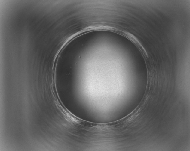 X0000057061244200509120840