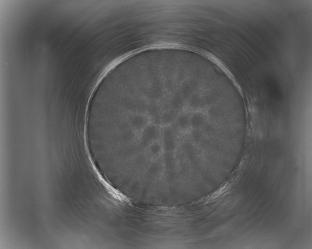 X0000057061245200509120840