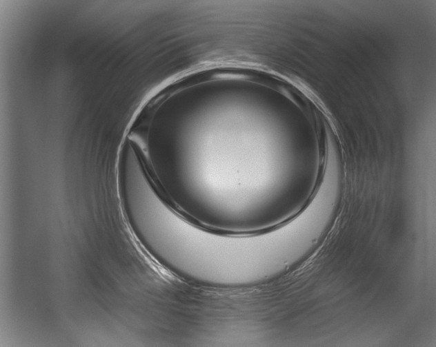 X0000057061246200509120840