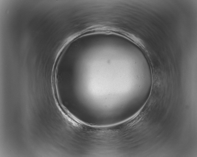 X0000057061247200509120840