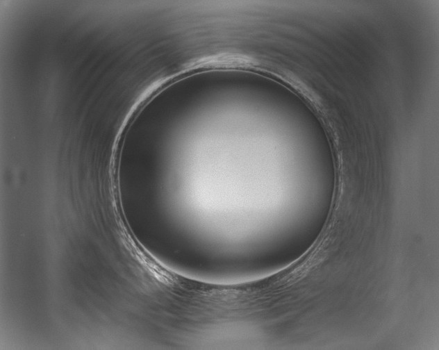 X0000057061248200509120840