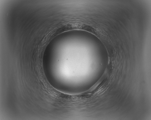 X0000057061249200509120839