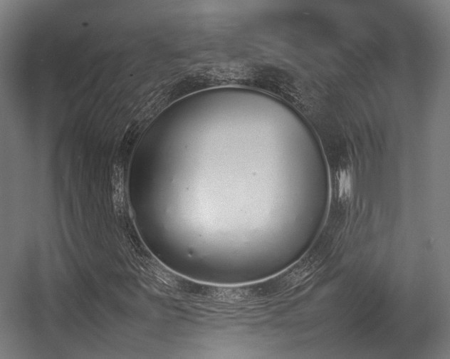 X0000057061251200509120839