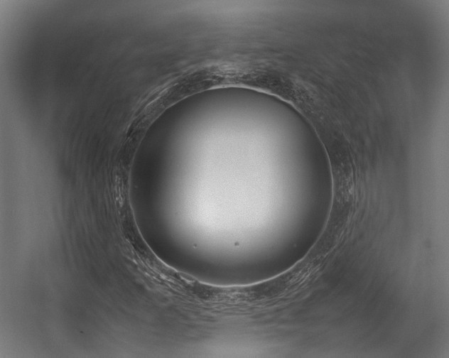 X0000057061253200509120839