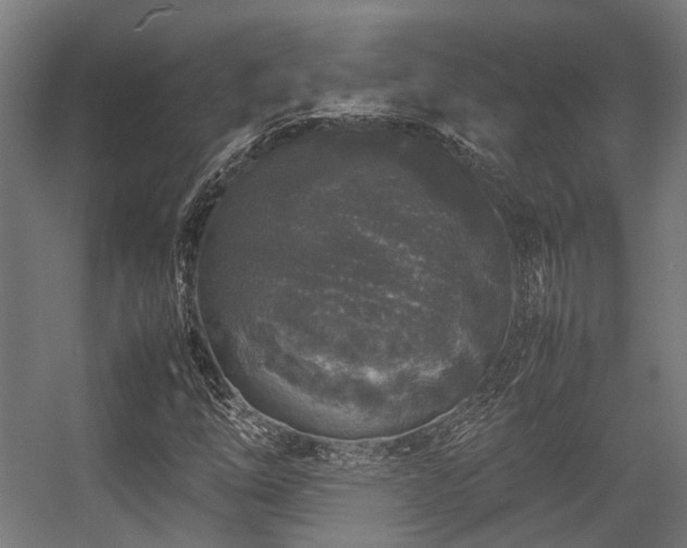 X0000057061254200509120839