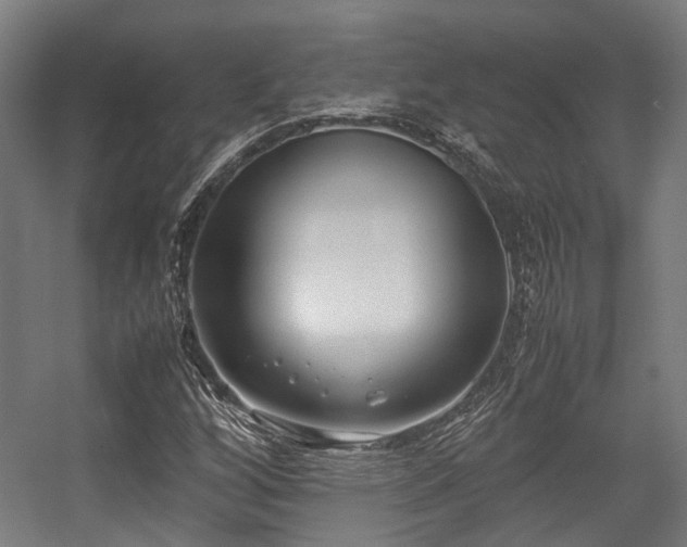 X0000057061256200509120839