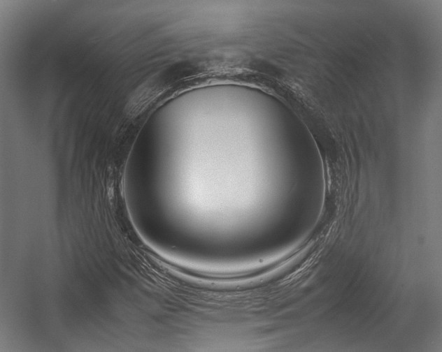 X0000057061257200509120839