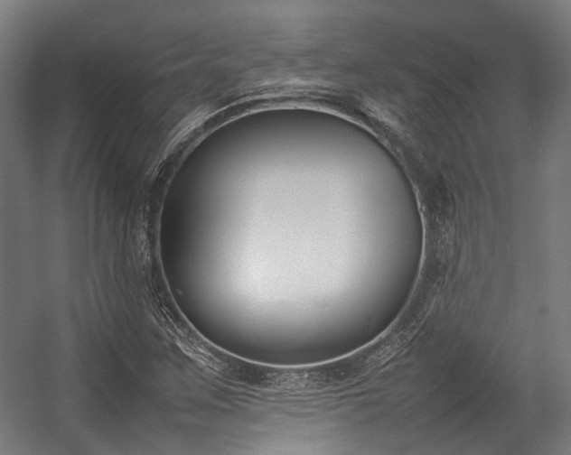 X0000057061259200509120839