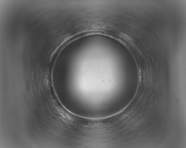 X0000057061260200509120839